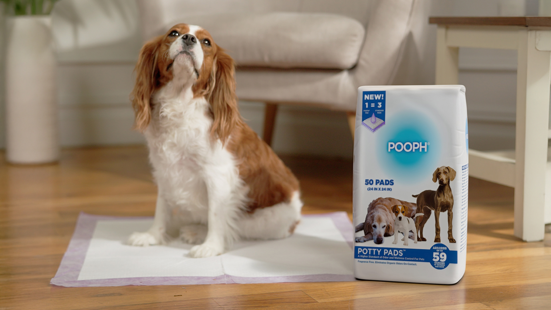 Amazon.com: POOPH® Potty Pads™ – 50 Count – Superior Absorbency